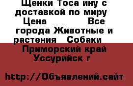 Щенки Тоса-ину с доставкой по миру › Цена ­ 68 000 - Все города Животные и растения » Собаки   . Приморский край,Уссурийск г.